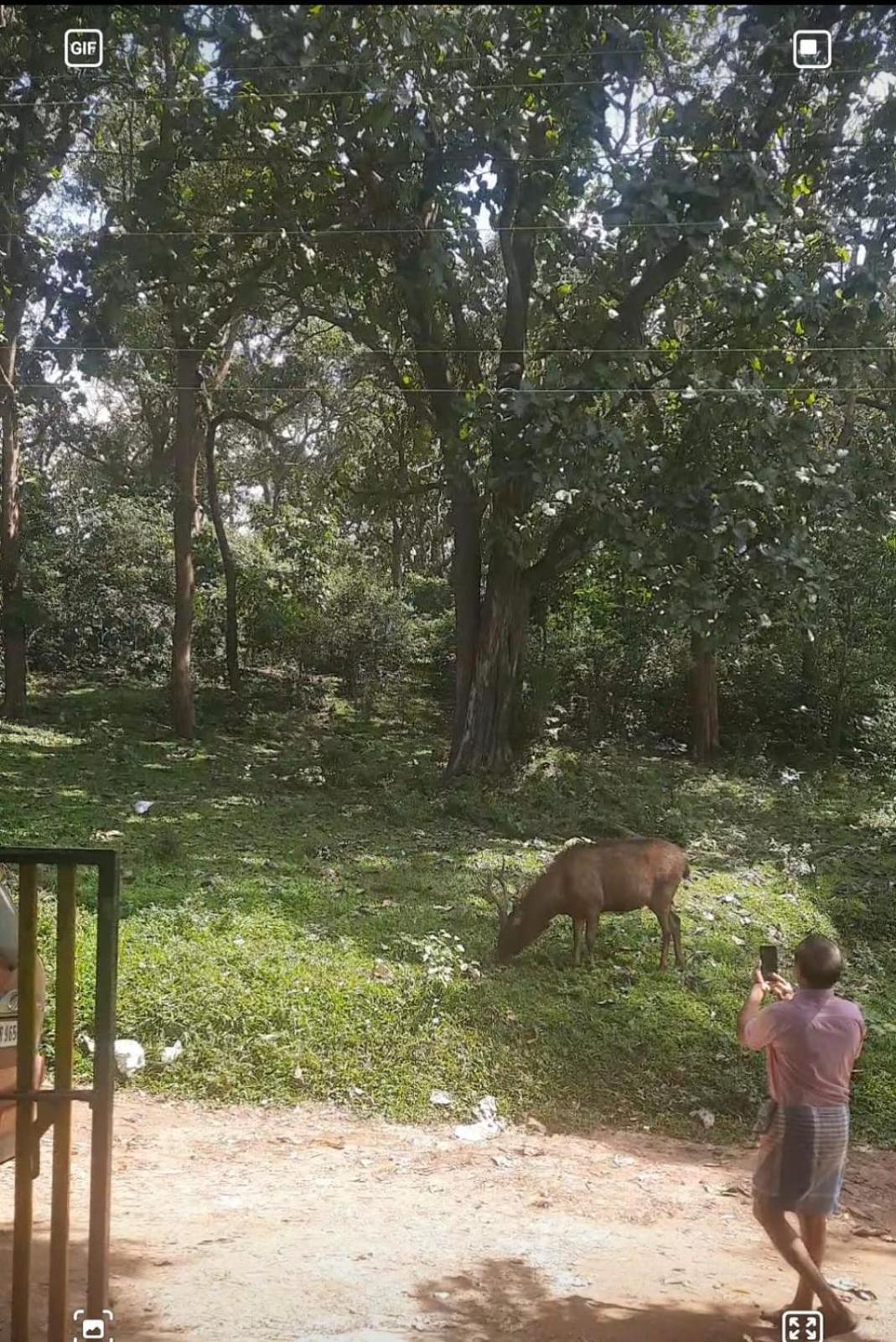 Wild Window - Forest View Homestay Thekkady Εξωτερικό φωτογραφία