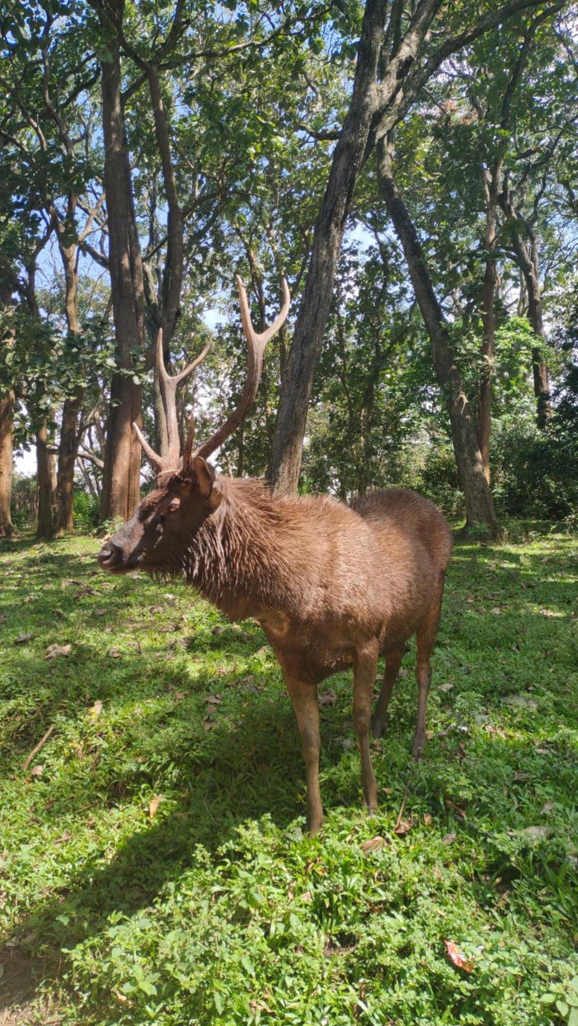 Wild Window - Forest View Homestay Thekkady Εξωτερικό φωτογραφία