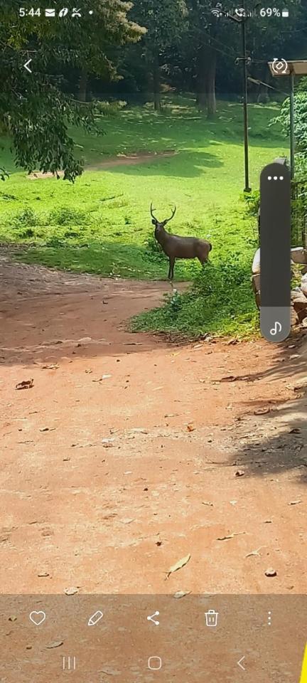 Wild Window - Forest View Homestay Thekkady Εξωτερικό φωτογραφία