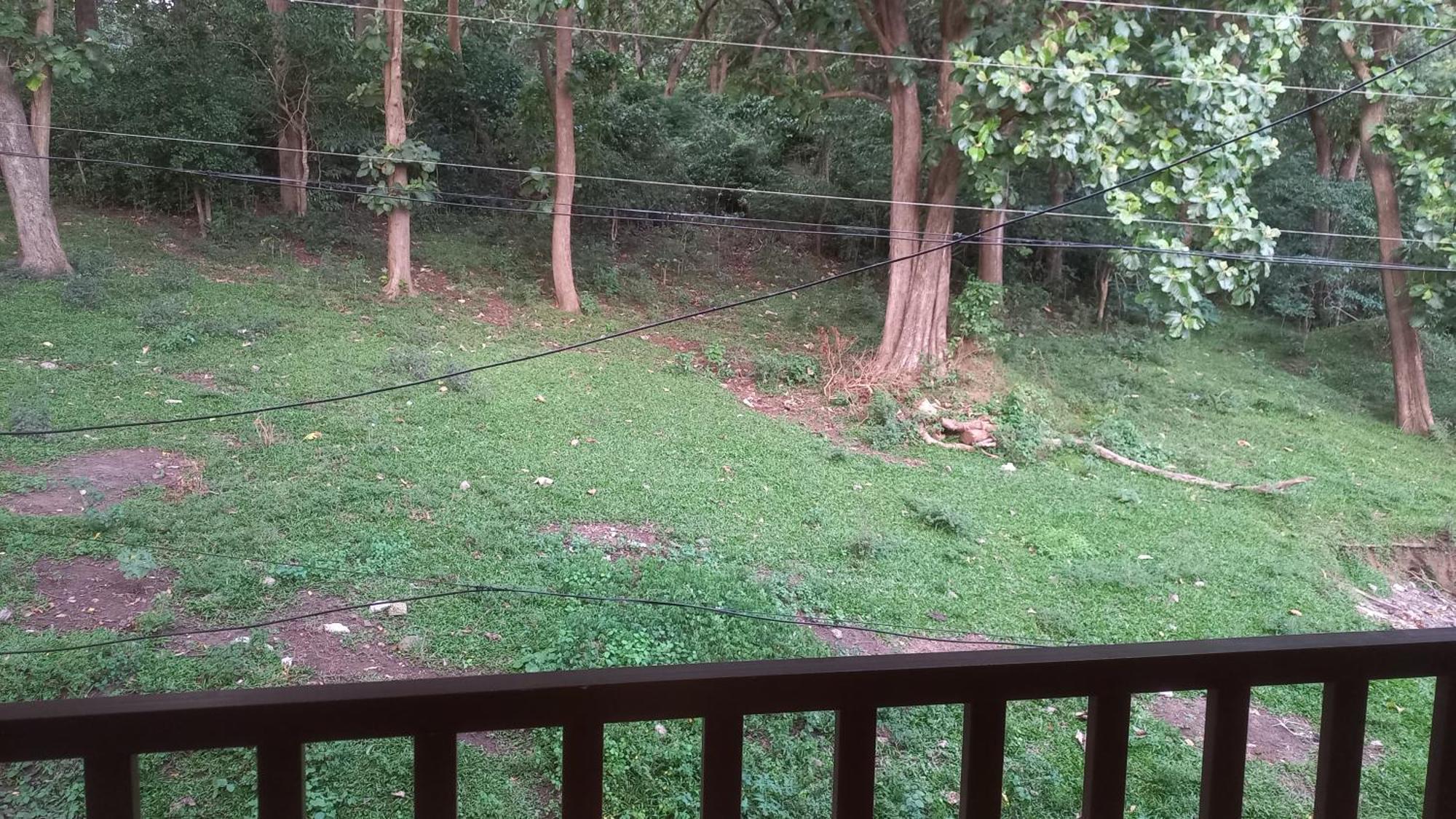Wild Window - Forest View Homestay Thekkady Εξωτερικό φωτογραφία