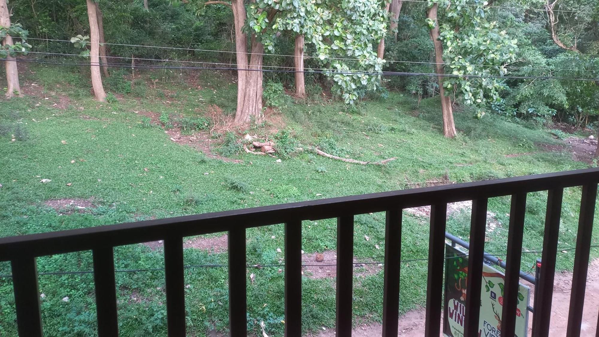Wild Window - Forest View Homestay Thekkady Εξωτερικό φωτογραφία