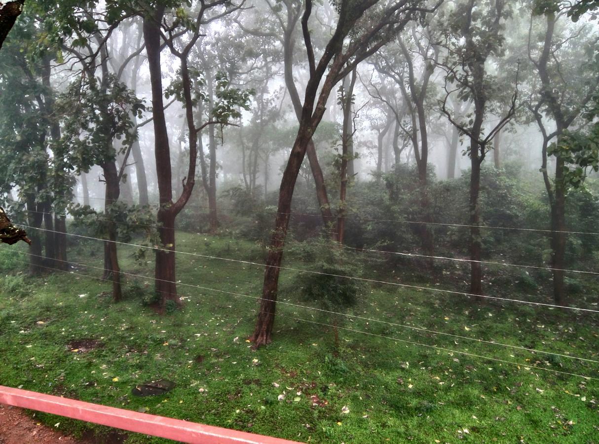 Wild Window - Forest View Homestay Thekkady Εξωτερικό φωτογραφία