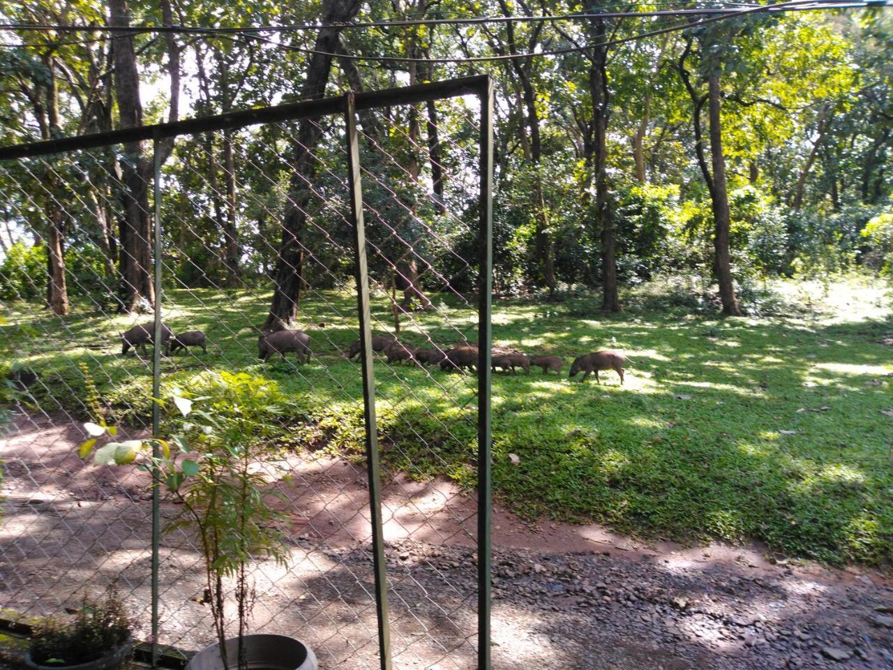 Wild Window - Forest View Homestay Thekkady Εξωτερικό φωτογραφία