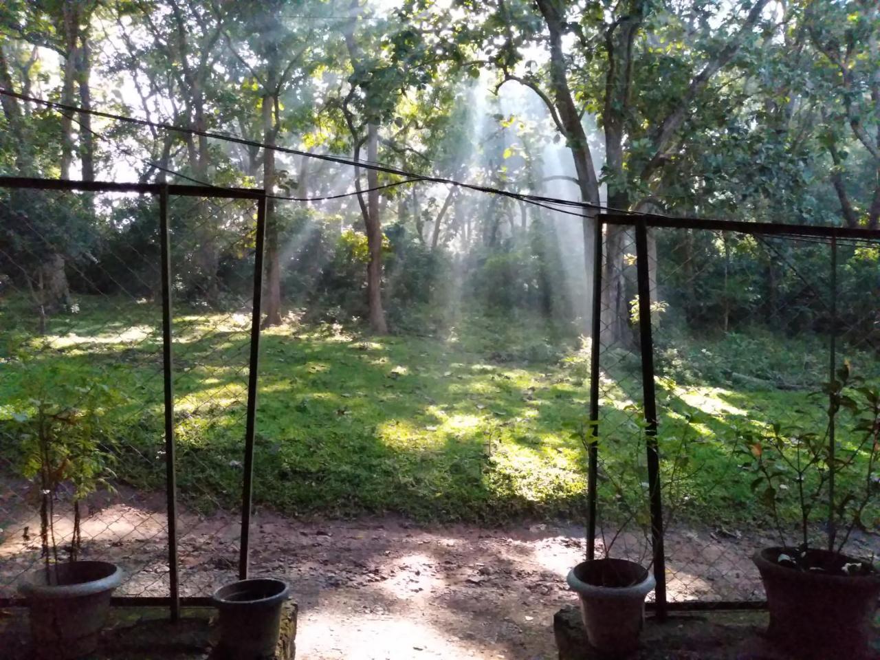 Wild Window - Forest View Homestay Thekkady Εξωτερικό φωτογραφία