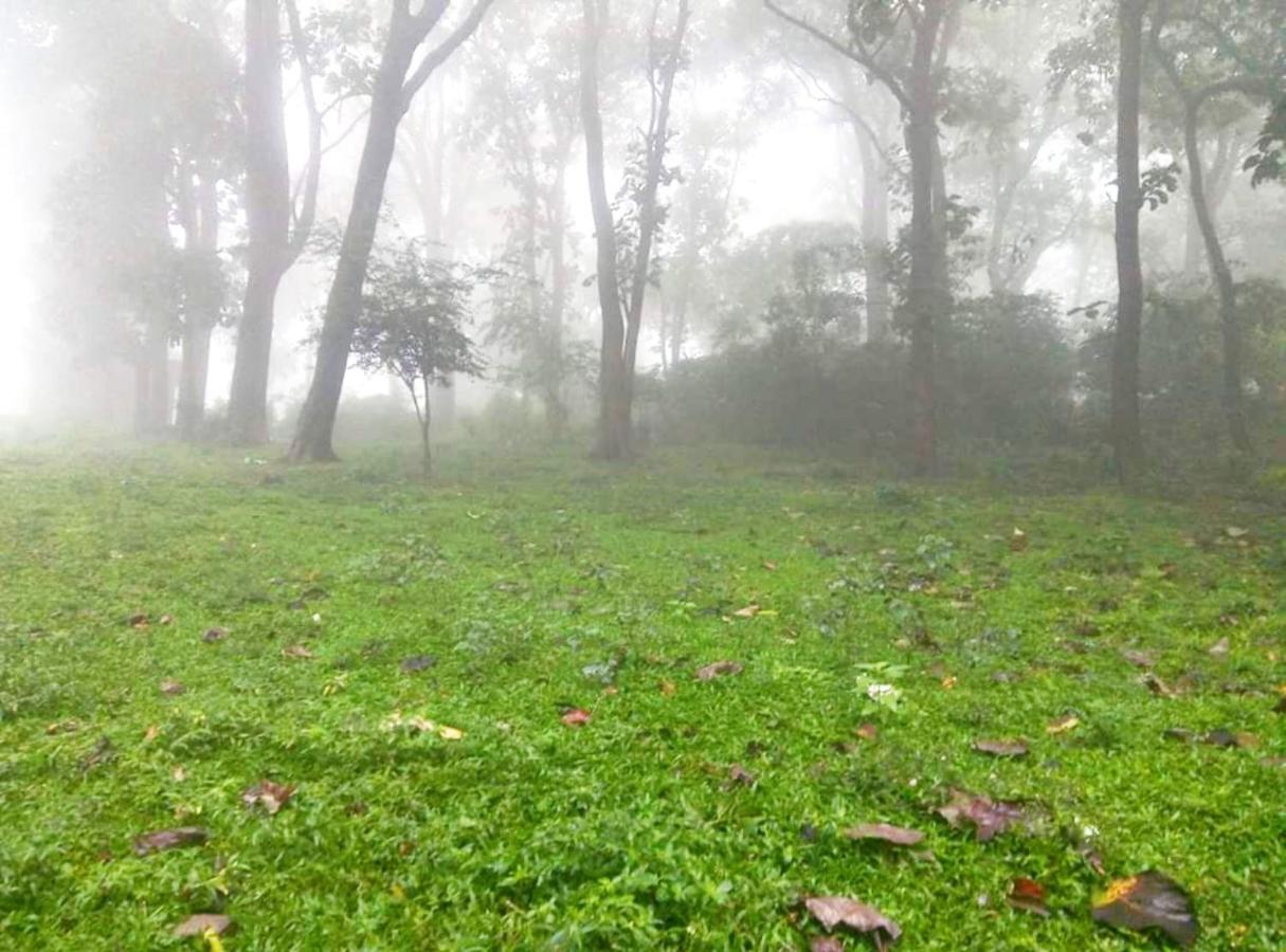 Wild Window - Forest View Homestay Thekkady Εξωτερικό φωτογραφία