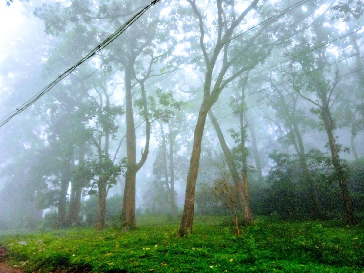Wild Window - Forest View Homestay Thekkady Εξωτερικό φωτογραφία